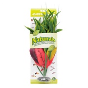 Marina Naturals Red & Yellow Dracena Silk Plant, L