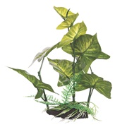Fluval Decorative Plant - Anubias Gracilis - Medium - 22 cm (9"") with base
