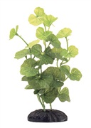 Marina EcoScaper Hydrocotyle Leucocephala Silk Plant, 20cm (8")