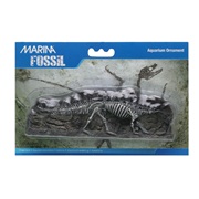 Marina Decorative Fossils,  Stegosaurus, 7.4" x 5.1" x 2.4"