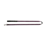 Dogit Style Nylon Ribbon Dog Leash-Urban Edge, Purple, Medium