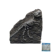 Marina Decorative Fossils,   T-REX,  8.5” x 9” x 1.8”