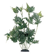 Marina EcoScaper Hygrophila Difformis Silk Plant, 30cm (12")