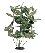Marina EcoScaper Houtuynia Cordata Silk Plant, 30cm (12")