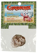 Crabworx Shell, medium, 1 piece