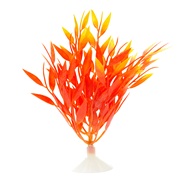 Marina Betta Fire Grass - 5" (12.7 cm)