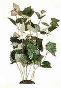 Marina EcoScaper Trapa-Natans Silk Plant, 30cm (12")