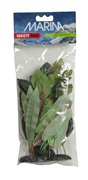 Marina Silk Plant Variety Pack