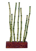 Marina 3L Betta Kit Bamboo Shots Ornament