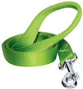 Dogit Single Ply Nylon Training Dog Leash - Green - Large (1.8 m/6 ft)