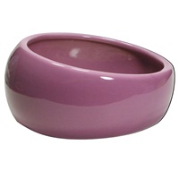 Living World Ergonomic Dish
Large, 420 mL (14.78 oz)
Pink/Ceramic