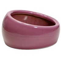 Living World Ergonomic Dish
Small, 120 mL (4.22 oz)
Pink/Ceramic