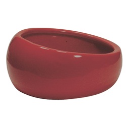 Living World Ergonomic Dish
Large, 420 mL (14.78 oz)
Terra Cotta/Ceramic