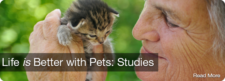 Life is Better with Pets: Studies