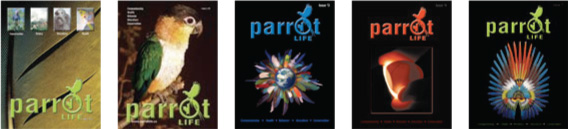 Parrot life